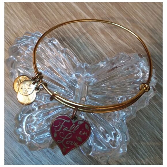 Alex and Ani Fall in love heart charm bracelet, romantic, giftable-Valentine's - Picture 2 of 3